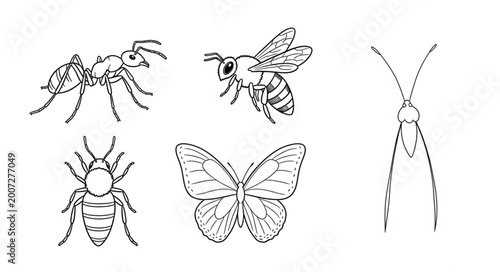 Canvastavla Insects and bugs in flight.