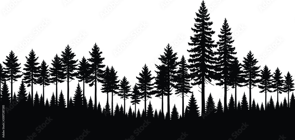 Fototapeta premium Forest tree silhouette landscape with pine and evergreen woodland for nature illustration, outdoor scenery, and environmental design background