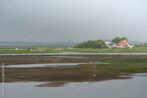 National Park in Holland. Landscape in spring with fog. House with farm. Netherlands, Zeeland, Oosterschelde.