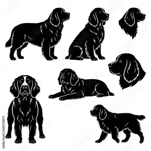 Black and white vector silhouette set of Clumber Spaniel