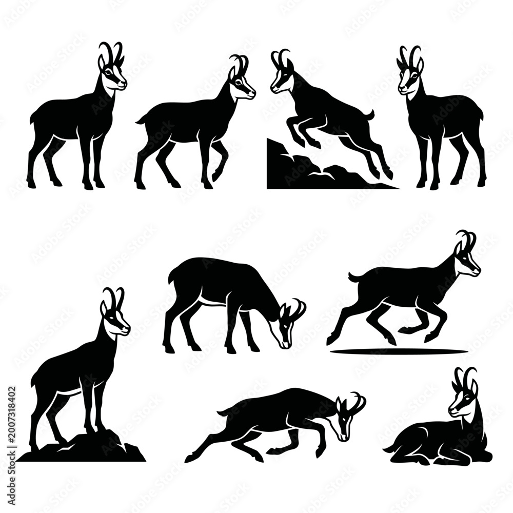 Fototapeta premium Black and white vector silhouette set of Chamois