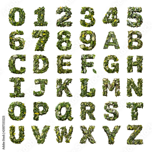 Dried Leaves shaped letters and numbers isolated on a white transparent background