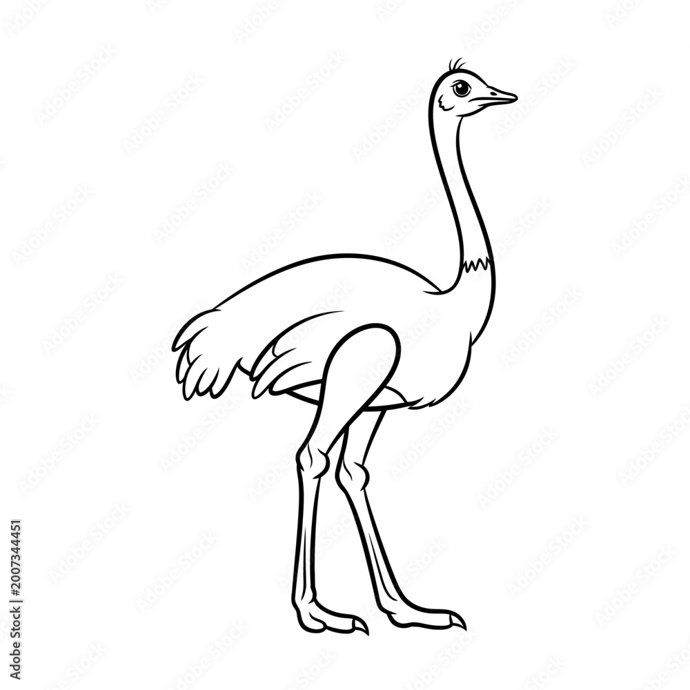 Fototapeta premium Ostrich Line Art Illustration - Black and White Outline of a Bird