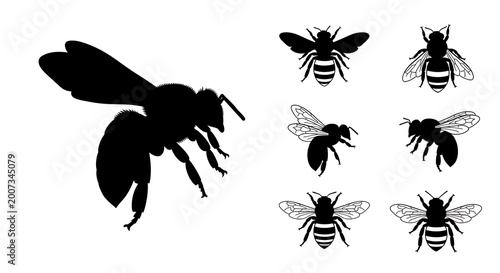 Bee silhouettes collection against white backdrop vector illustration