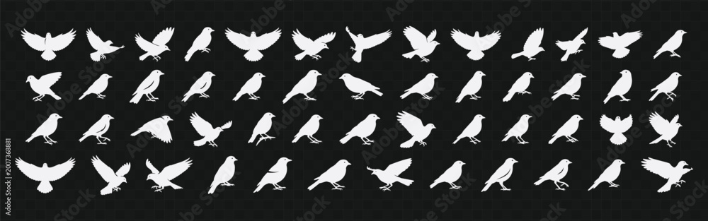 Obraz premium Collection of bird silhouette vectors in various flying poses, featuring clean monochrome shapes arranged in set format, ideal for logos, nature themes, patterns, and decorative design use.