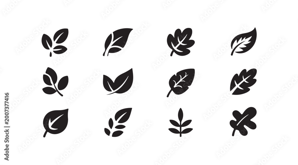 Fototapeta premium Set of black leaf icons and nature silhouettes for web design and digital illustrations collections.