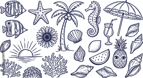 Photography Hand drawn summer beach elements set with seashells, palm tree, fish, starfish,