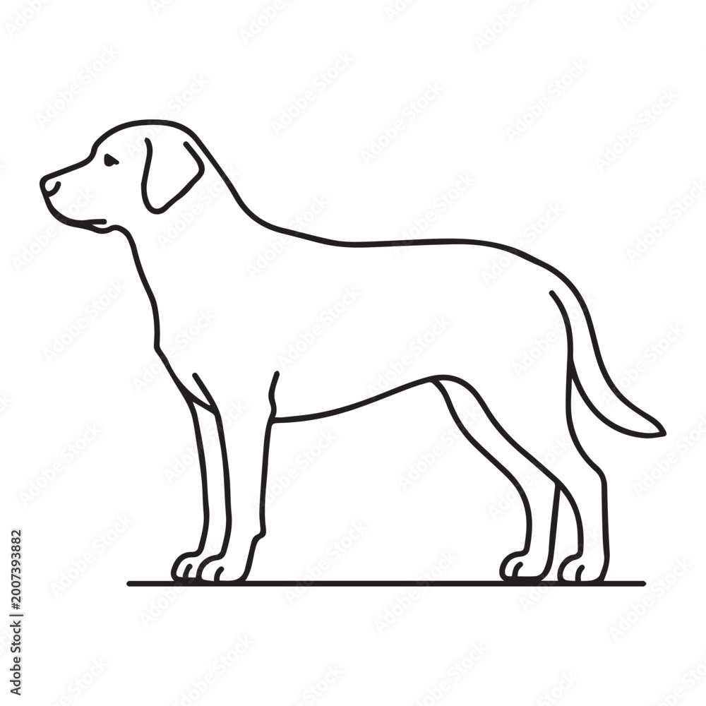 Obraz premium Minimalist outline drawing of a labrador retriever dog standing.