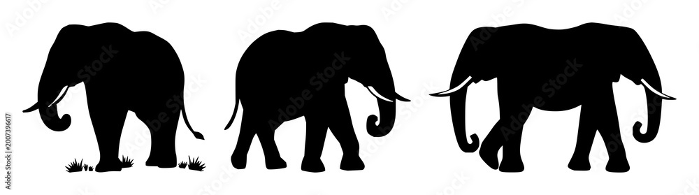 Obraz premium Elephant icon set with black silhouette on white backdrop featuring wildlife conservation, endangered species, iconography with high contrast and minimalist design