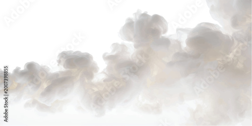 Картината върху платно Abstract white smoke cloud isolated on clean white background with soft light an