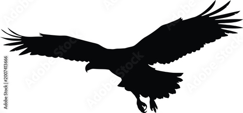Eagle silhouette against a white background soaring bird of prey