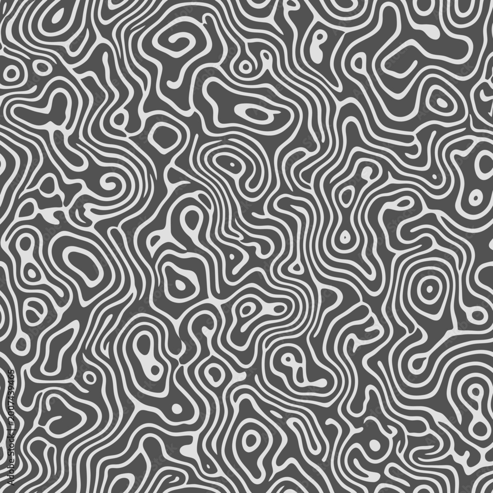 Fototapeta premium Black and white abstract topographic pattern.