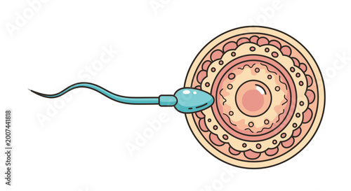 Tableau sur toile Fertilization concept illustration