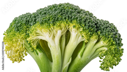 Tableau sur toile Fresh green broccoli florets and thick stems, isolated on transparent background