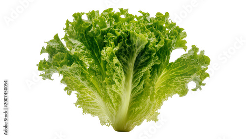 Fresh green lettuce leaf with ruffled edges, isolated on transparent background