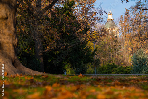 Horizontal landscape of a historic tower dome seen through golden autumn trees and fallen leaves in a peaceful urban park during sunset.
