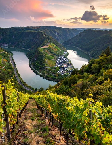 Rolling vineyards overlook a winding river valley with a charming village at sunset