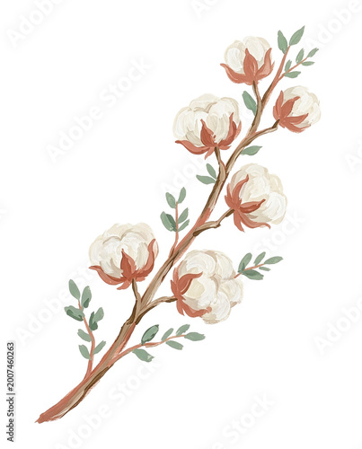 a sprig of cotton, painted