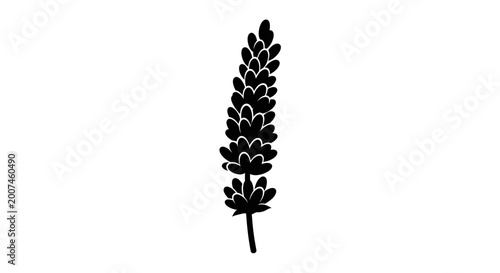 Black silhouette of a lupine flower isolated on white background, graphic element