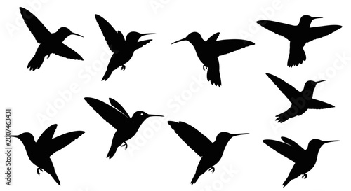 Hummingbird Silhouette Collection: Flight Poses and Motion Sequence