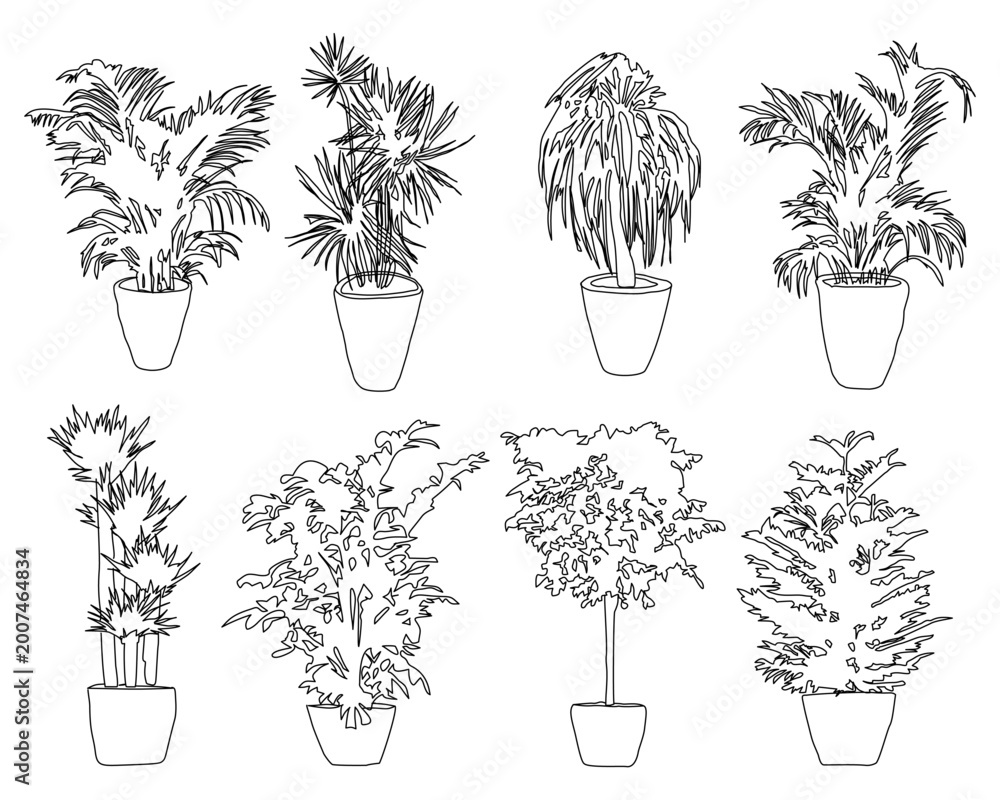 Fototapeta premium set of plants diverse set of eight minimalist, hand-drawn vector illustrations of indoor potted plants. This collection showcases a variety of botanical styles, perfect for architectural drawings, UI/