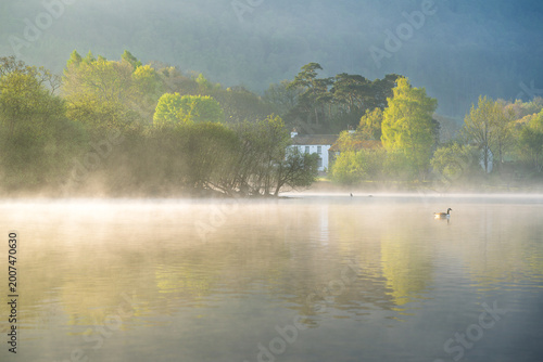 Quadro su tela A peaceful spring morning with a duck in misty lake, seen from Friars Crag, Derwentwater, Lake District, UK