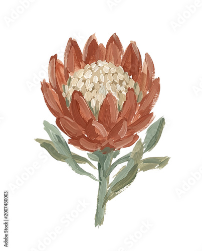 A single minimalist protea flower, terracotta petals with a creamy beige center