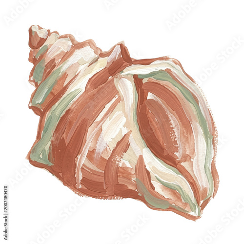 painted shell