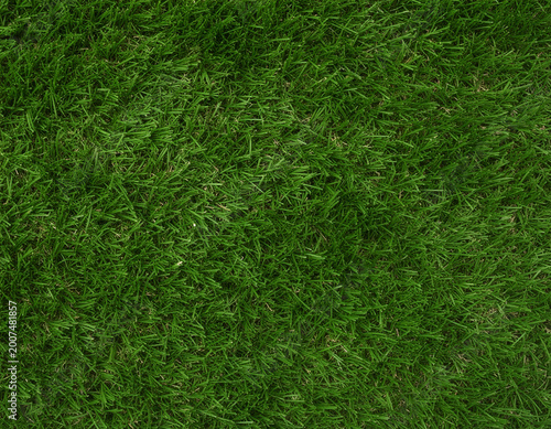 Vibrant green grass lawn texture background.