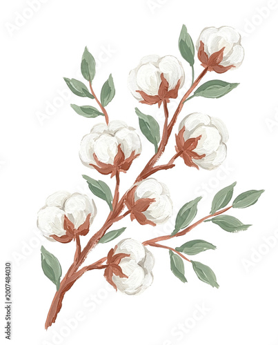 a sprig of cotton, painted