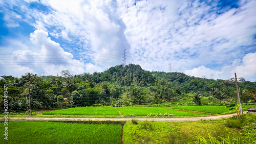 Фотография Lush Green Rice Fields Below a Broadcast Tower on a Hill
