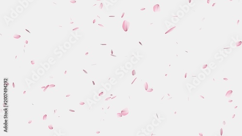 Pink cherry blossom petals falling gracefully on transparent background, Cherry Blossom Transition,
cherry blossom particle animation, alling cherry blossom petals on black background