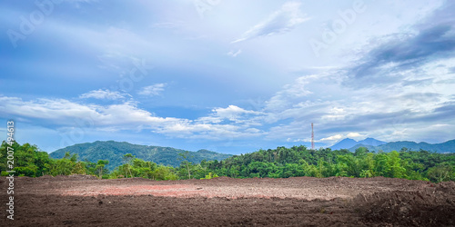 Impact of deforestation on tropical rainforests and biodiversity loss. Tropical forests deforestation. Global Warming