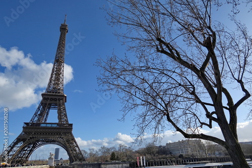 Tour Eiffel, ciel bleu et arbres sans feuilles.