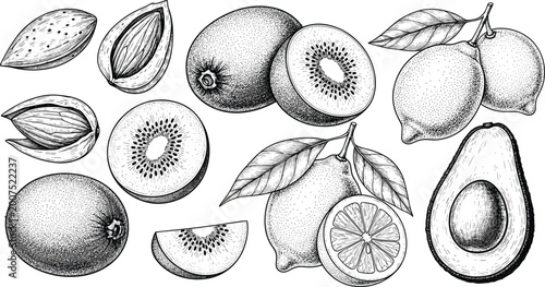 Detailed Hand Drawn Vintage Fruit Collection Featuring Engraved Sketches of Kiwi Lemon Avocado and Almonds for Organic Food Branding Healthy Menu and Botanical Product Packaging Designs