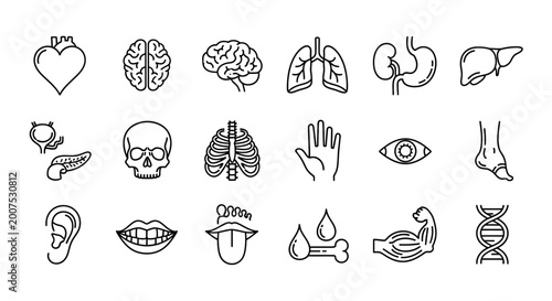 Icons of Organs and Systems, Science Graphics, Medical Illustrations, Educational Environment