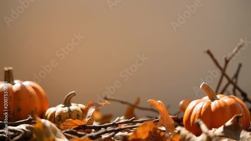 Autumn still life with small orange pumpkins and dry leaves on a clean background, soft natural lighting