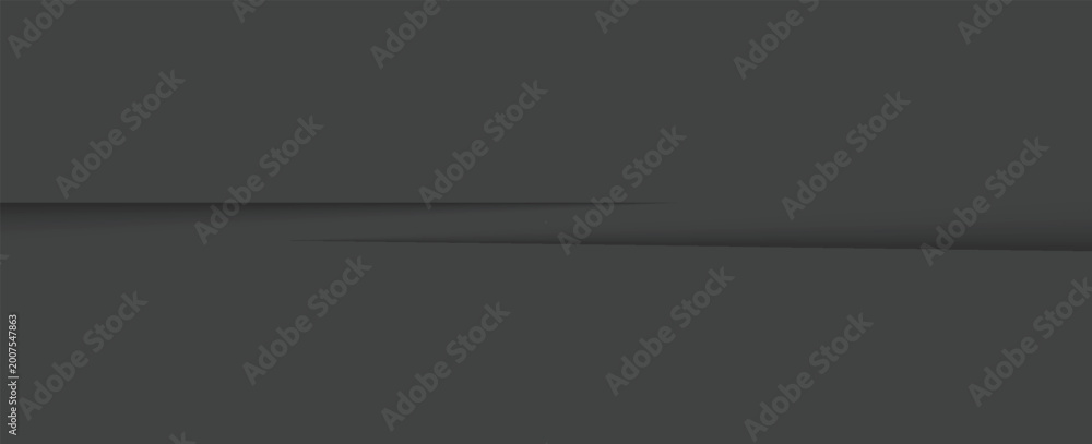 Fototapeta premium Grey white abstract background paper shine and layer element vector for presentation design. Suit for business, corporate, institution, party, festive, seminar, and talks