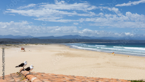 Photos sweeping golden sandy beach at Plettenberg bay wide empty sands no people two se