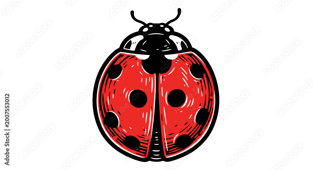 Fototapeta premium Vector Pinocut A detailed illustration of a ladybug against a clean backdrop.