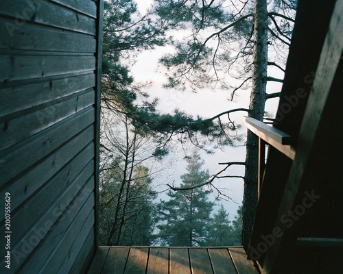 nature wood background