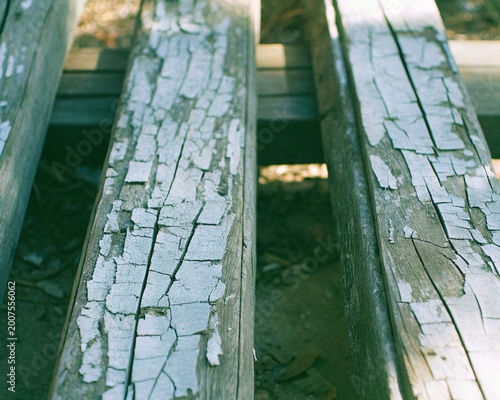 nature wood background