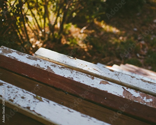 nature wood background