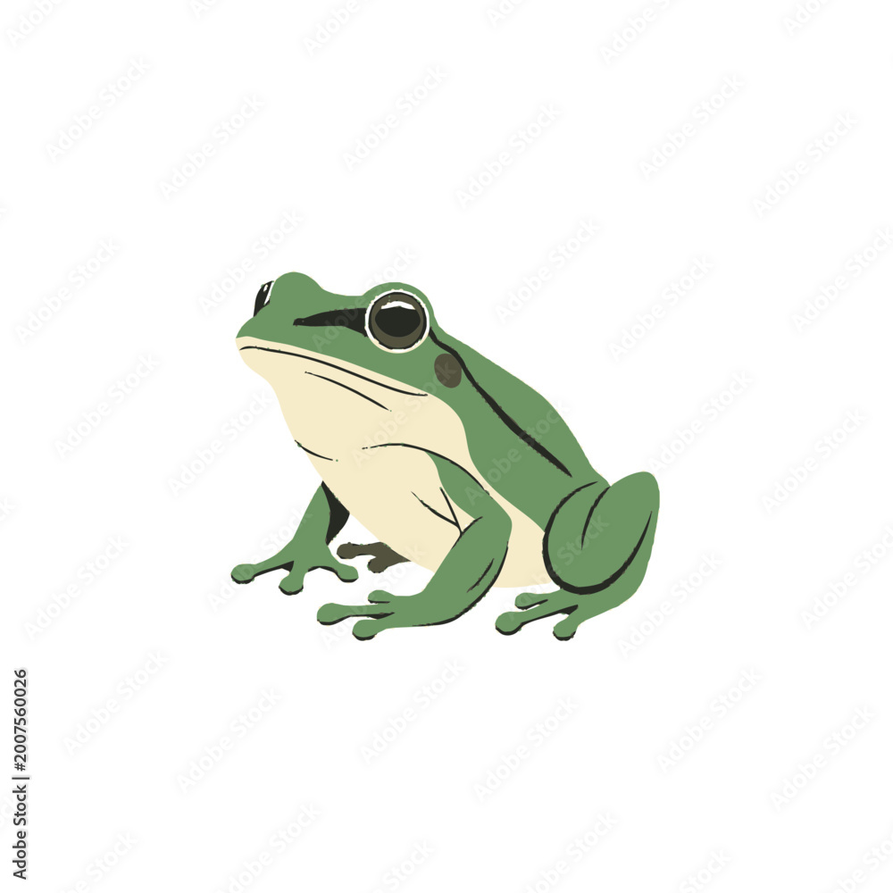 Fototapeta premium Green Tree Frog Vector Illustration - Minimalist Nature Animal Graphic Isolated on White