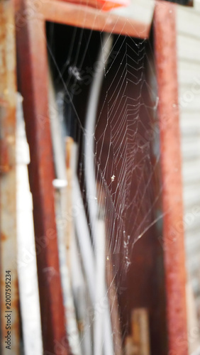 Принти на полотні Spider web hanging in old dark doorway