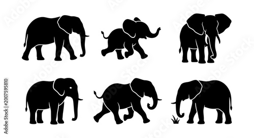 Foto Diverse Elephant Silhouettes Collection, African and Asian Wildlife Icons, Simpl