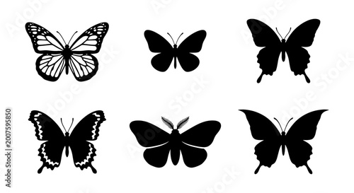 Fotografía Six Silhouette Butterfly Vector Icons, Elegant Insect Graphics, Delicate Winged