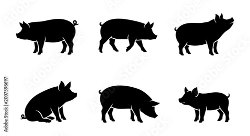 Set of six black pig silhouettes, farm animal icons, livestock vector illustrations for agriculture and countryside themes
