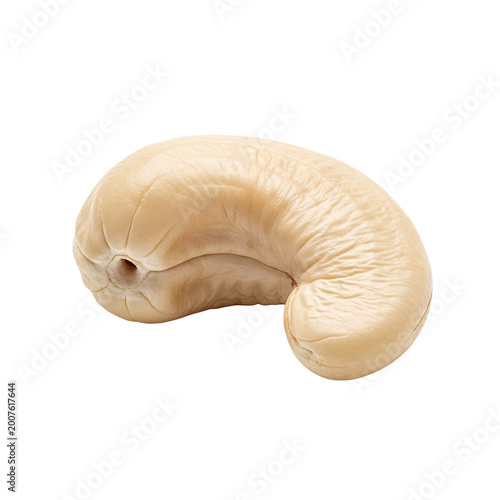 Single Raw Cashew Nut Isolated on White Background.