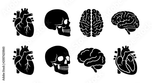 Quadro su tela Anatomical Icons: Black Silhouette Vector Set of Human Heart and Brain, Medical